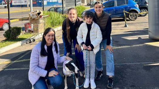 Feira de adoção garante novo lar para nove cães em Xanxerê