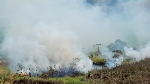 Incêndio em vegetação destrói cerca de 10 mil metros quadrados em município do Oeste