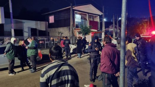Operação foi motivada por denúncias (Foto: Guarda Municipal)