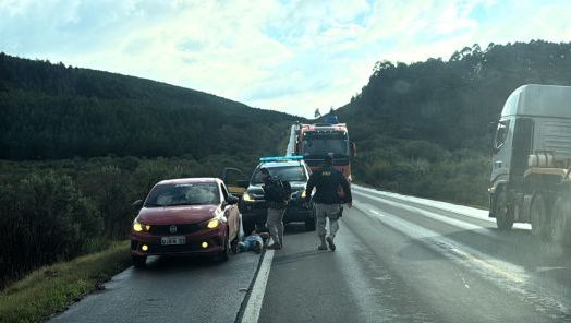 PRF apreende quase 100 quilos de maconha e prende motorista no Oeste de Santa Catarina