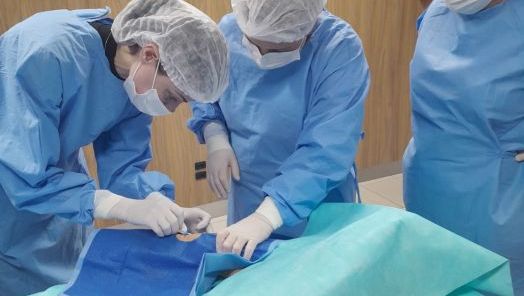 Enfermeiras do HRSP concluem capacitação para inserção de cateter PICC