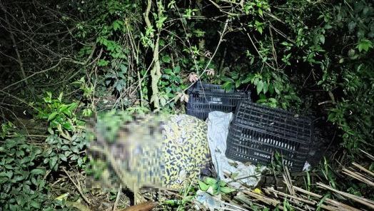 (Foto: Polícia Civil)