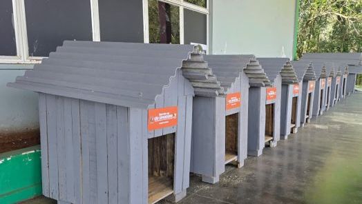 São Domingos lança programa para oferecer abrigo a animais em situação de vulnerabilidade