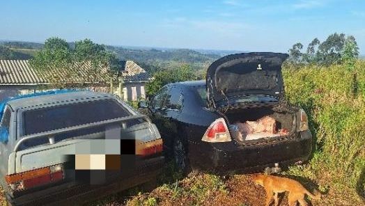 (Foto: Polícia Militar)