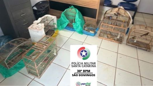 (Foto: Polícia Militar)