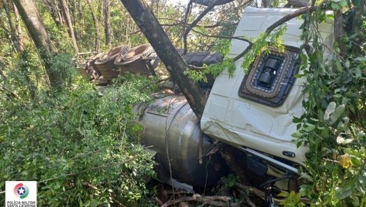 Caminhão carregado com soro para suínos sai da pista e tomba em Xaxim