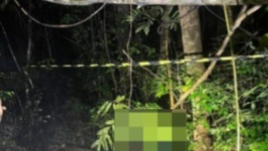 Mulher de 54 anos é encontrada morta em área de mata após investigação de desaparecimento em Faxinal dos Guedes