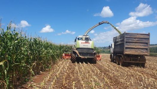Cadastro Ambiental Rural é obrigatório para produtores de Xanxerê