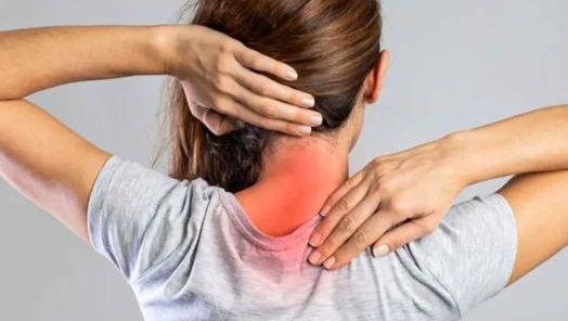 Foto:  SBCO/Divulgação