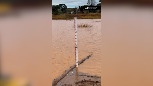 Mais de 20 municípios de Santa Catarina registram mais de 100 mm de chuva em apenas 24 horas