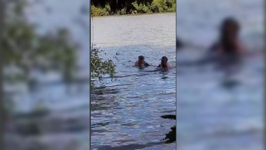 Menino autista é resgatado em rio agarrado em galhos de árvores em município do Oeste