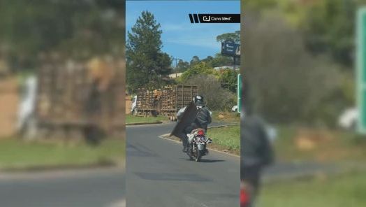 VÍDEO: Cena inusitada chama atenção na BR-282, em Xaxim
