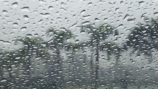 Foto: Airton Fernandes / SDC