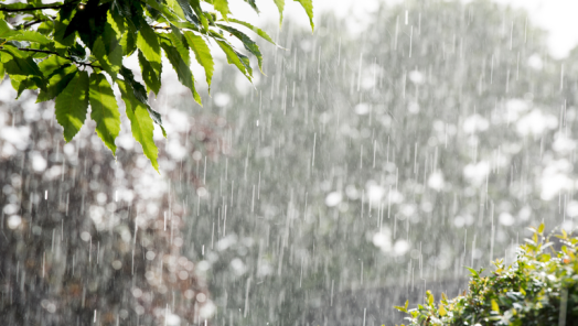 SC deve registrar temporais com chuva pontualmente intensa entre a sexta-feira (09) e a madrugada de domingo (11)