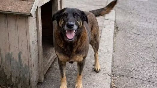 Foto: Reprodução Internet