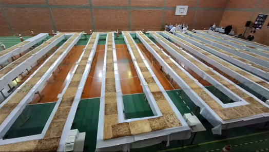 Blumenau bate recorde brasileiro com cuca de 202 metros e 1,6 tonelada