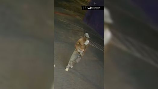 VÍDEO: furto registrado por câmeras na loja da Petlove em Chapecó