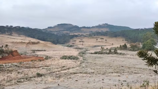 Foto: Sérgio Felipe Rodrigues/Divulgação