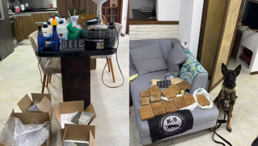 Foto: Polícia Civil/Divulgação