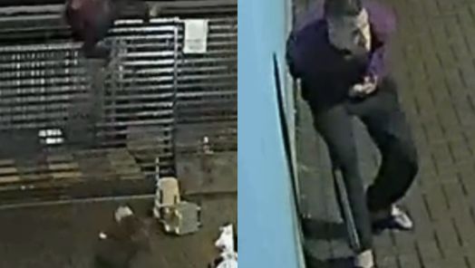 VÍDEO: Ladrão tenta invadir residência em Chapecó, mas acaba surpreendido pelo pit bull da família