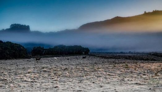 Temperaturas voltam a despencar em Santa Catarina neste fim de semana