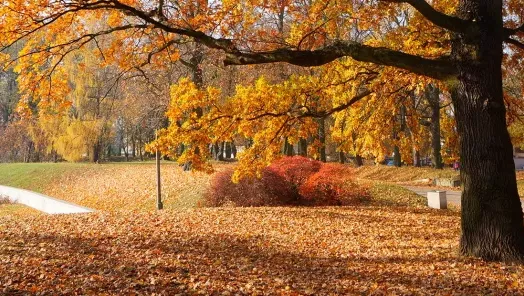 VÍDEO: o outono começa nesta sexta-feira (20), mas o clima ainda segue com características de verão em Santa Catarina.