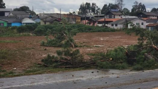 Temporal causa destruição e levanta suspeita de tornado em SC