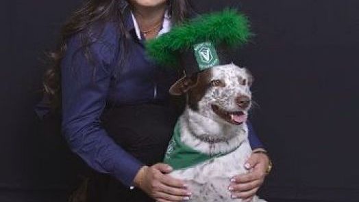 VÍDEO: A arte da Doma Progressiva: Como conquistar a confiança dos cavalos sem causar sofrimento 