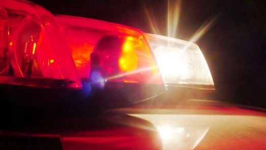 Familiares encontram idoso morto após ataque de vaca no interior de Concórdia