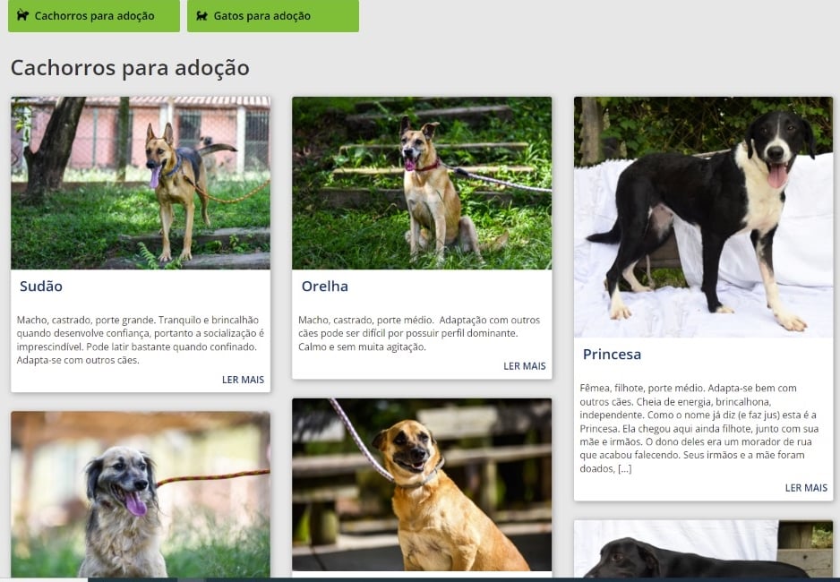 Foto: Divulgação/Prefeitura de Concórdia