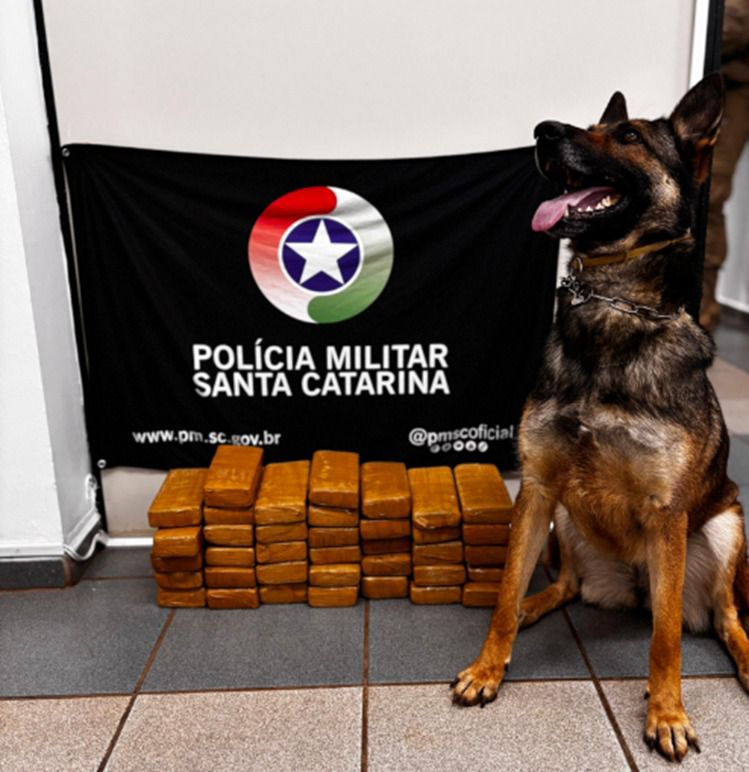 Ações integradas do 30º BPM/Fron fortalecem segurança em municípios de divisas com PR 