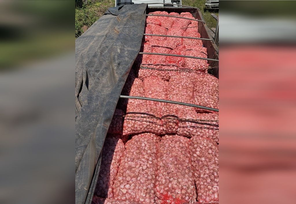 Receita Federal apreende 28 toneladas de alho contrabandeado da Argentina