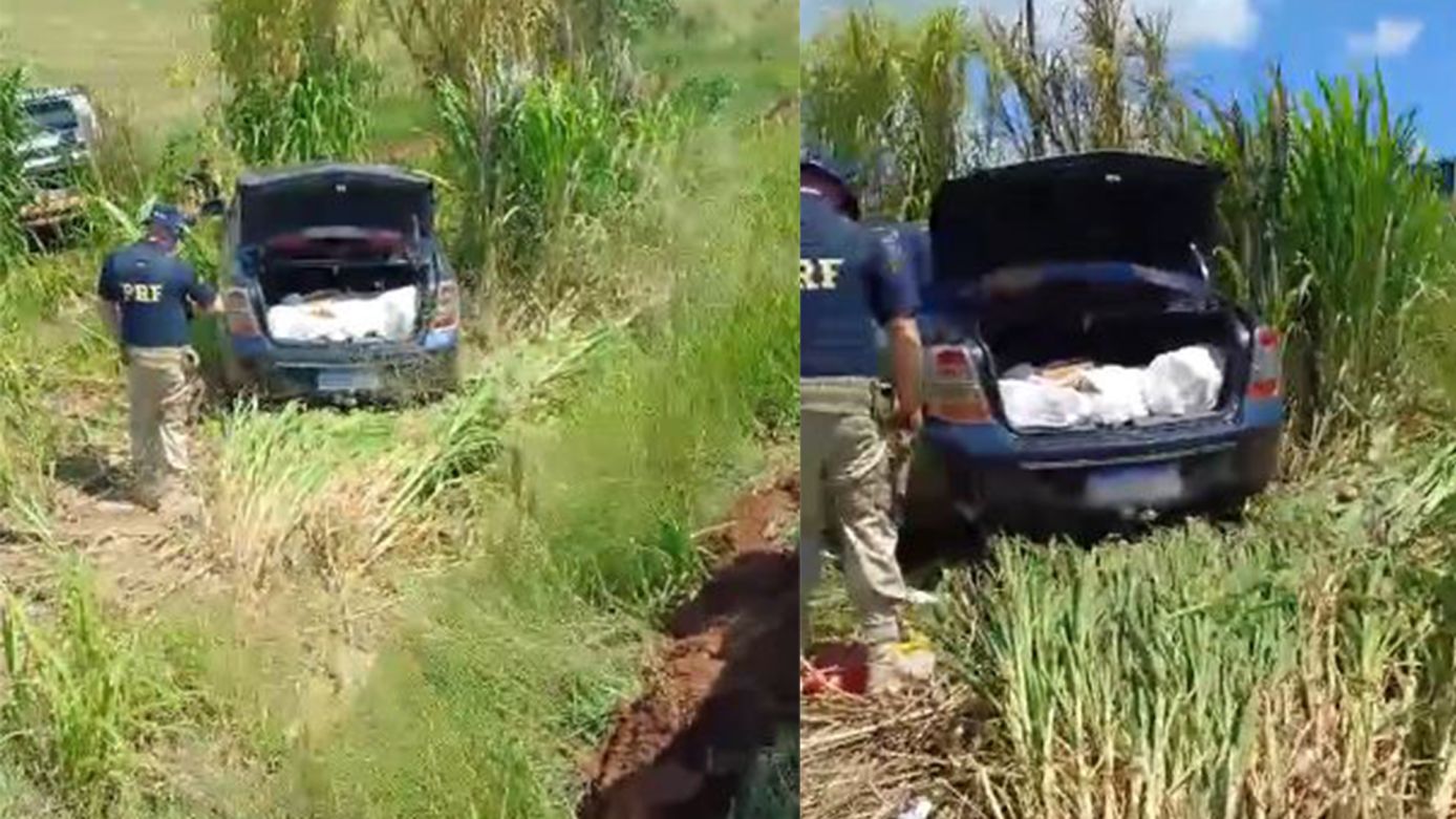 Polícia apreende mais de 99 kg de maconha na SC-480, em Xanxerê; criminosos atiraram contra os policiais 