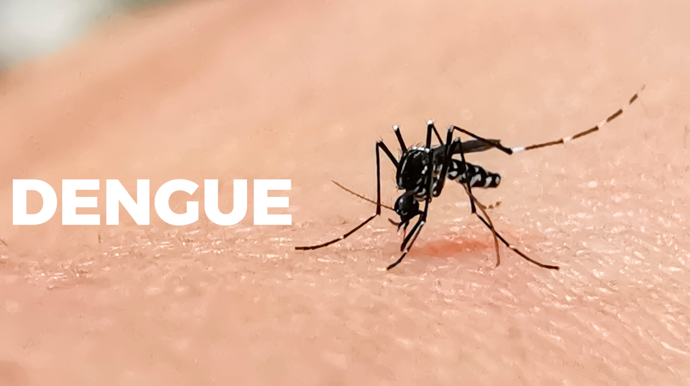 Concórdia chega perto dos 300 casos de dengue e saúde está em alerta