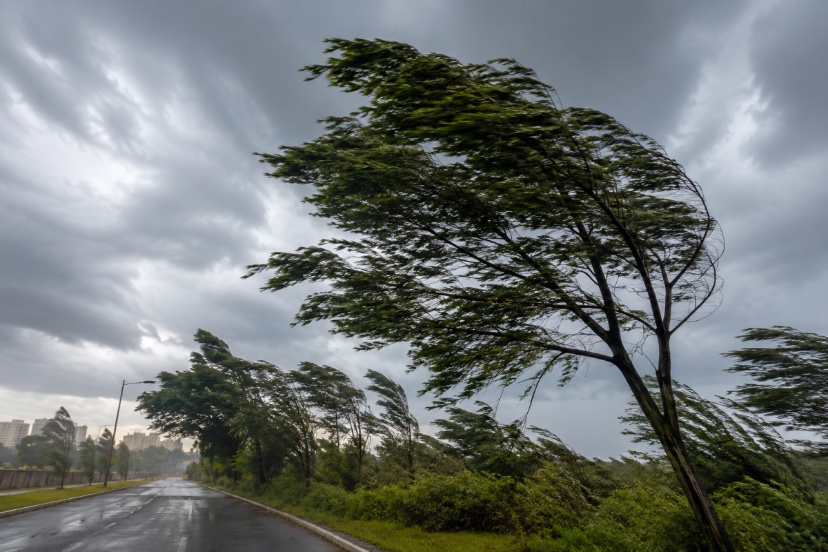Chuva deve voltar a partir de terça-feira (Foto: IA)