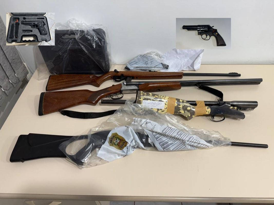 Polícia Civil apreende armas e munições em operação contra posse irregular em São Domingos