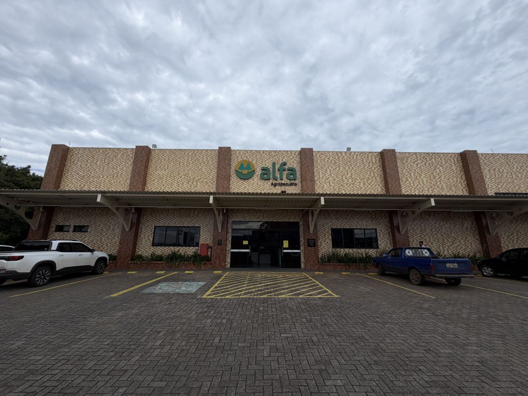 VÍDEO: Já viu algumas das ofertas da Agropecuária Alfa que marcaram 2025?