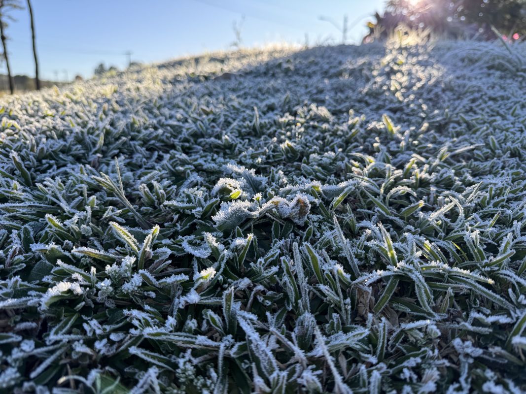 VÍDEO: inverno de 2025 será marcado por temperaturas mais baixas e acumulados de chuva