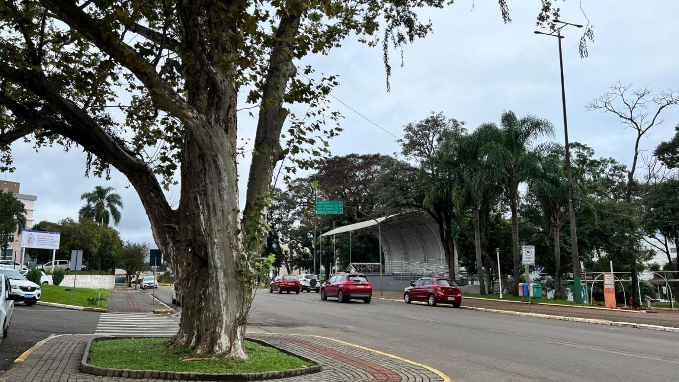 Foto: reprodução / assessoria