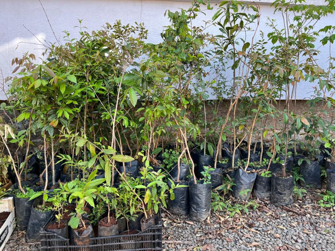 Foto: Prefeitura de Xanxerê