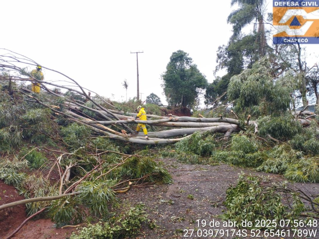 Prefeitura de Chapecó decreta situação de emergência em função da microexplosão