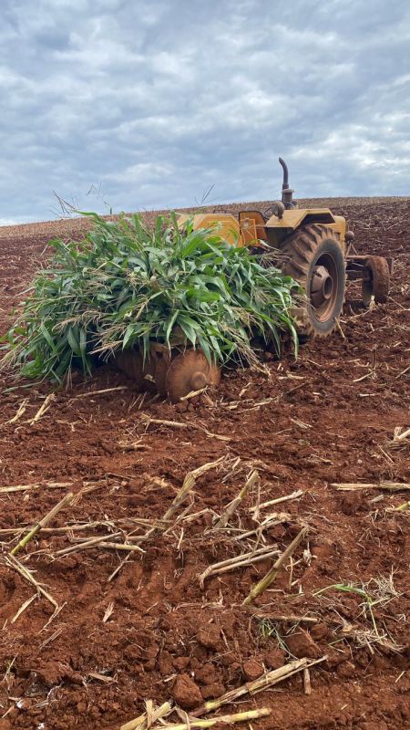 Idoso morre atropelado por trator agrícola em Iporã do Oeste