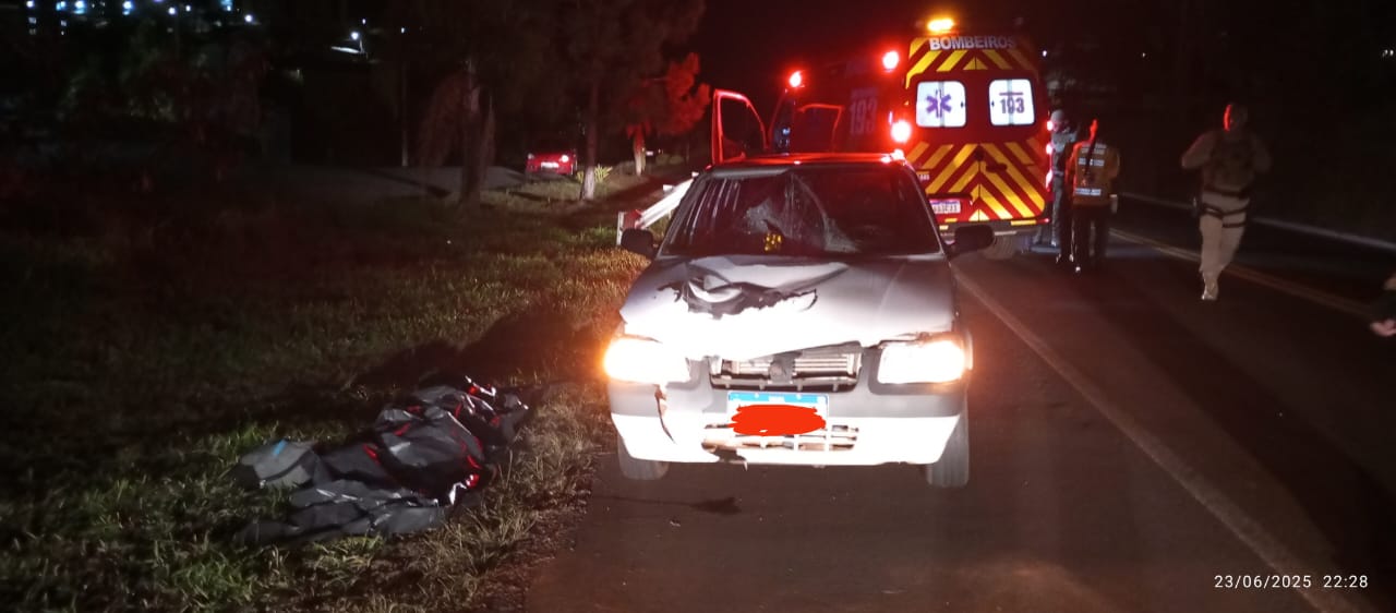 Atropelamento com morte é registrado na BR-282 em Pinhalzinho
