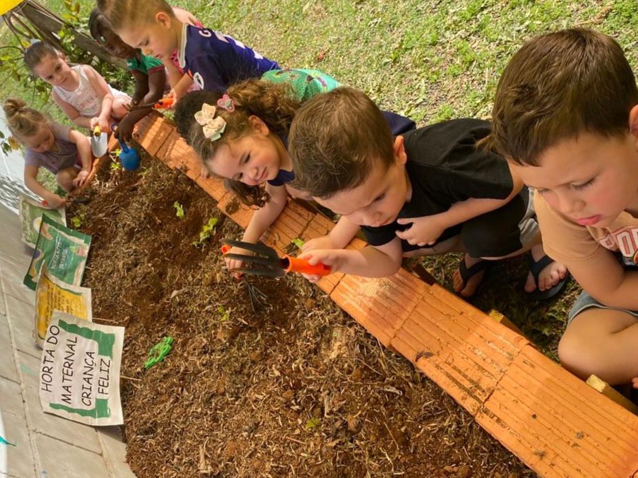 Crianças do Cemei Criança Feliz colhem alfaces cultivadas no projeto “Alimentação Saudável”