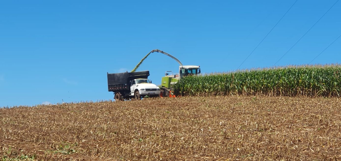 Aberto o edital para credenciamento de empresas prestadoras de serviços de colheita rural