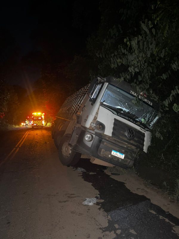 Caminhão carregado de suínos sai da pista na SC-283 e motorista fica ferido