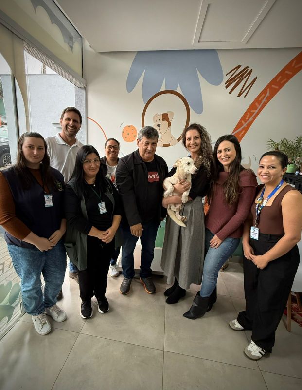 Programa de castração de cães e gatos encerra o ano com mais de 400 cirurgias em Abelardo Luz 