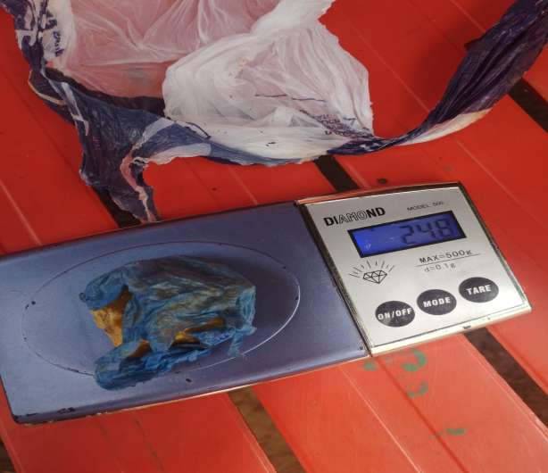 Homem e mulher são detidos por tráfico após enterrar drogas para escondê-la, em Xanxerê