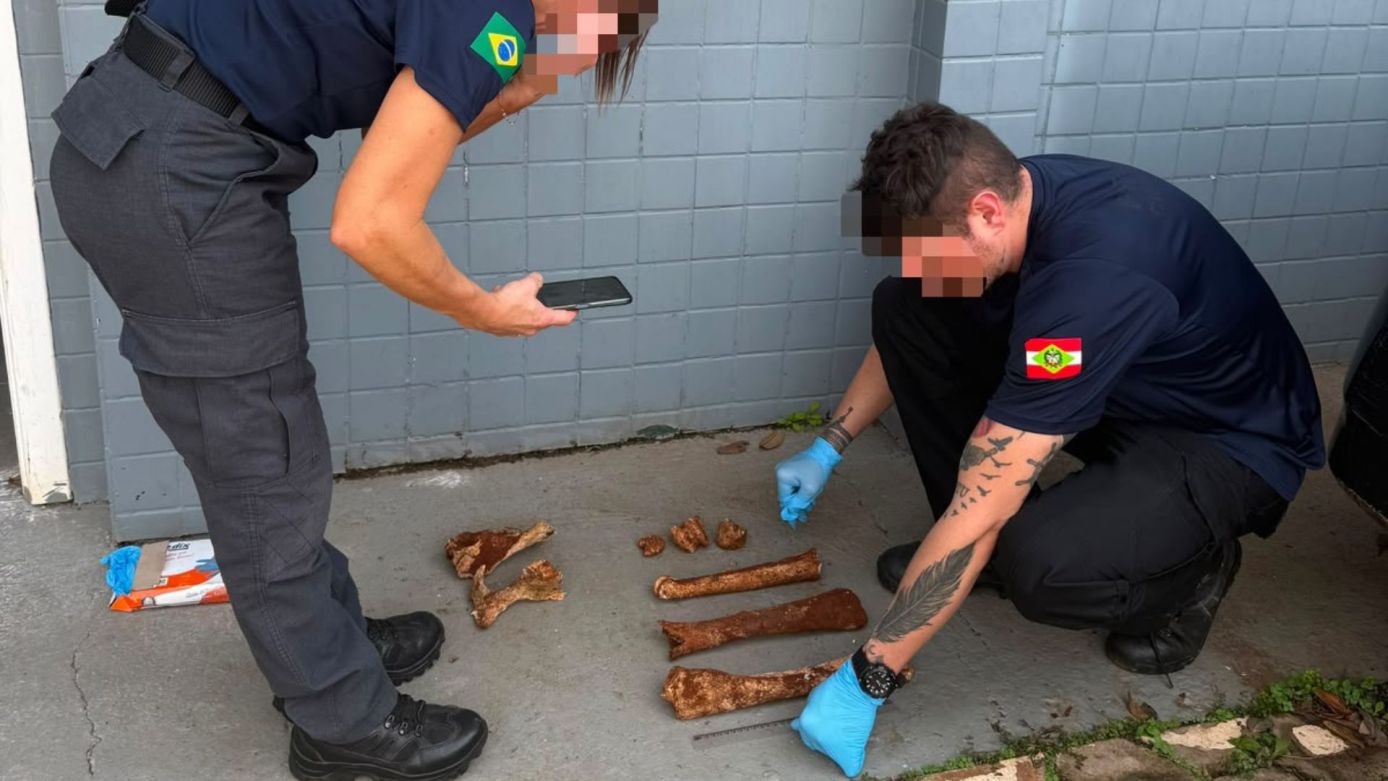 (Foto: Polícia Civil)