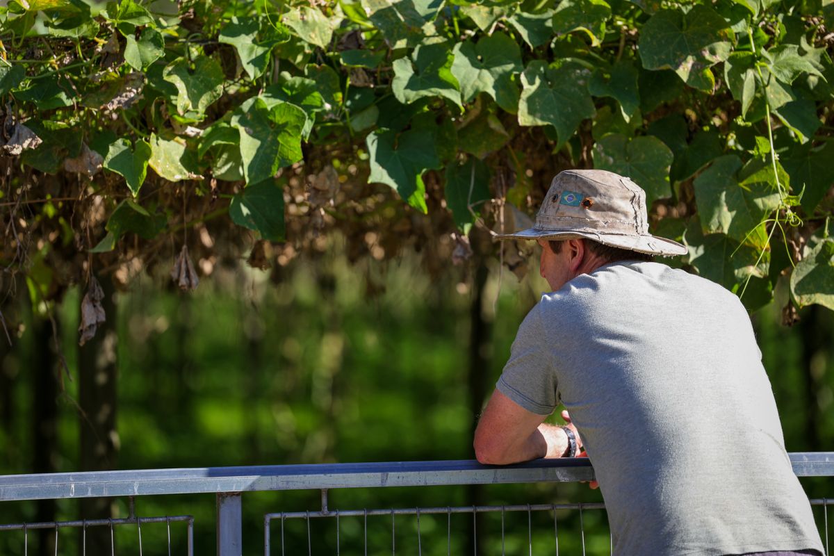 Foto: Roberto Zacarias/Secom